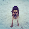 user profile photo