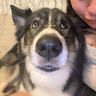 user profile photo