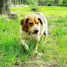 user profile photo