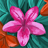 user profile photo