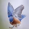 user profile photo