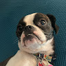user profile photo