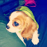 user profile photo