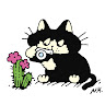 user profile photo