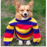 user profile photo