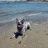 user profile photo