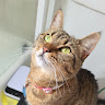 user profile photo