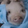 user profile photo