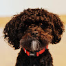 user profile photo