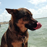 user profile photo