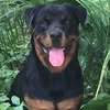 user profile photo