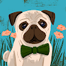 user profile photo