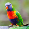 user profile photo