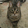 user profile photo