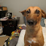 user profile photo