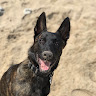 user profile photo