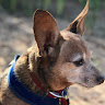 user profile photo