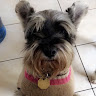 user profile photo
